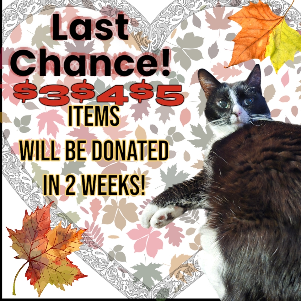 All Items Will Be Donated in 2 Weeks!